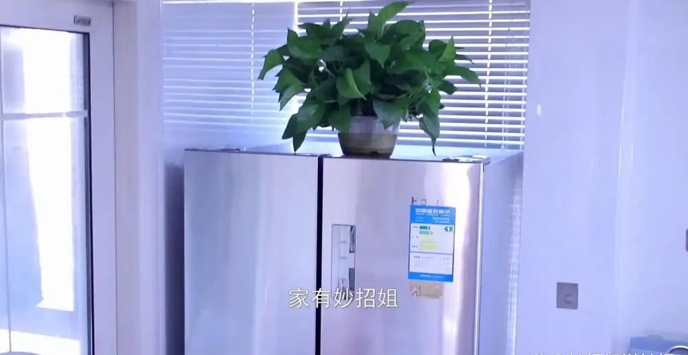 家裡擺放黃金葛,這4個位置最好要避開!放錯了挪走