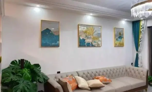 龜背芋如何養出「藝術感」？「解鎖」這些，葉美有趣，超治癒
