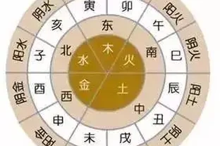 別在家裡亂擺盆景了，這些植物不利家庭風水！
