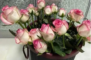 花店買的玫瑰花怎麼養才不會枯萎