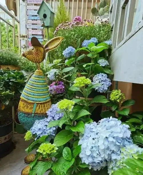 6種「耐陰花」,能養「北陽臺」,哪怕光照少,也能開滿花