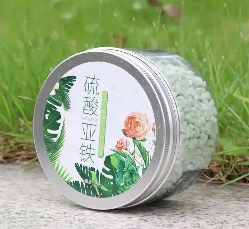 缺乏鐵元素，葉片發黃、掉葉怎麼辦？如何給花草補鐵治療？
