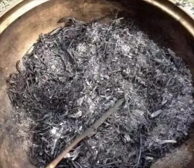 「5種料」，拿來養花很好，當肥料，省錢好用花草瘋長很旺盛