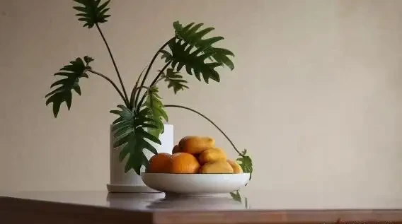 室內養花有哪些禁忌?要特別注意第1點,不然很容易吃大虧
