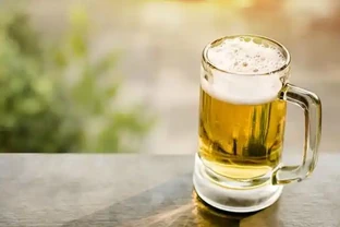 6款花是小「酒鬼」，經常「喂」一杯，葉片油亮，新芽瘋長滿盆