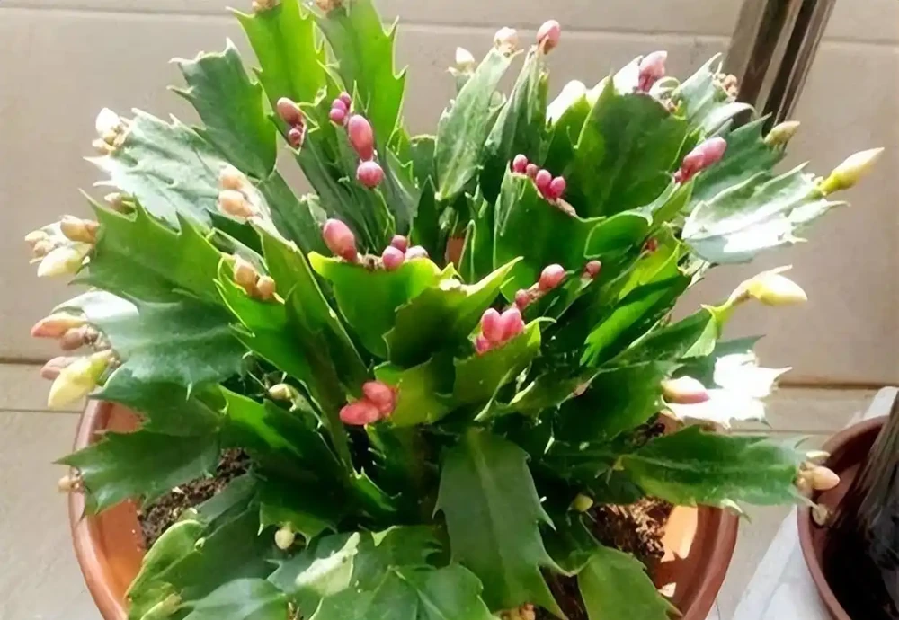 記得給5種花草「剃個頭」,剃得越狠,來年長得越旺