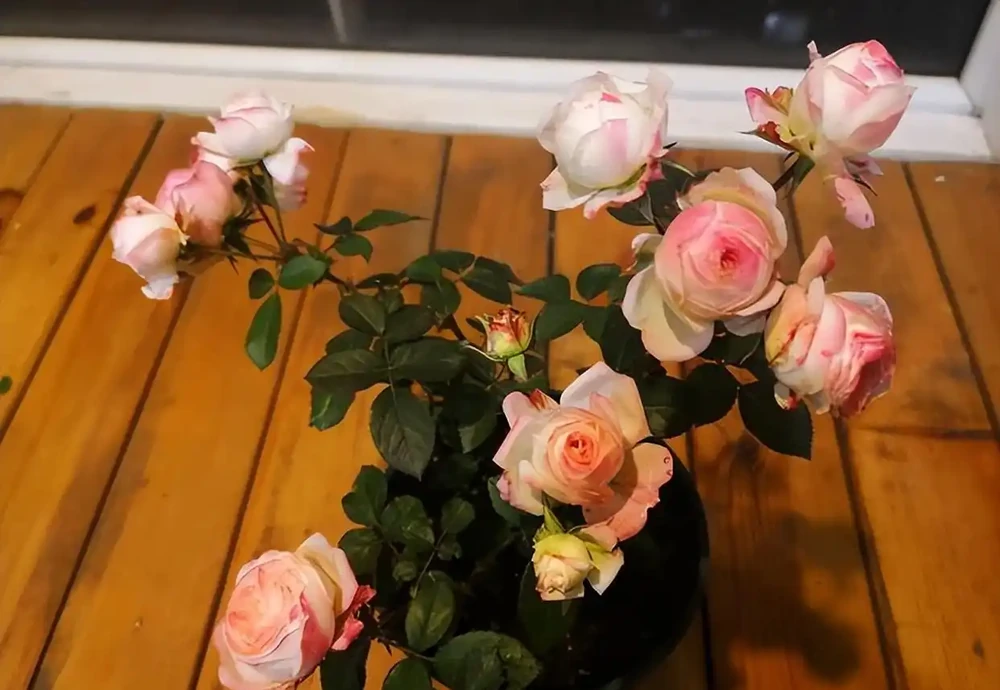 記得給5種花草「剃個頭」,剃得越狠,來年長得越旺