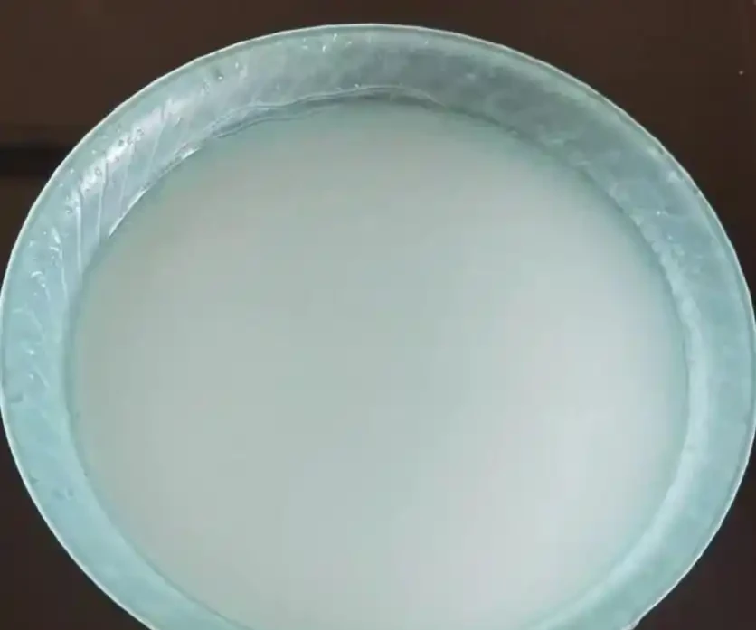 十種花不宜澆淘米水