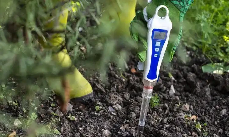 植物花卉葉子發黃的7大原因,解決方法已經附上了