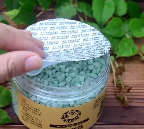 葉片變黃是缺什麼肥料?