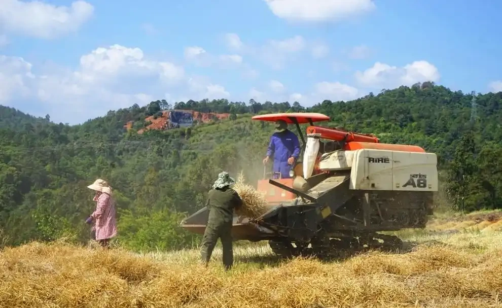 複合肥料是什麼肥料?複合肥料的正確使用方法?複合肥料的注意事項?