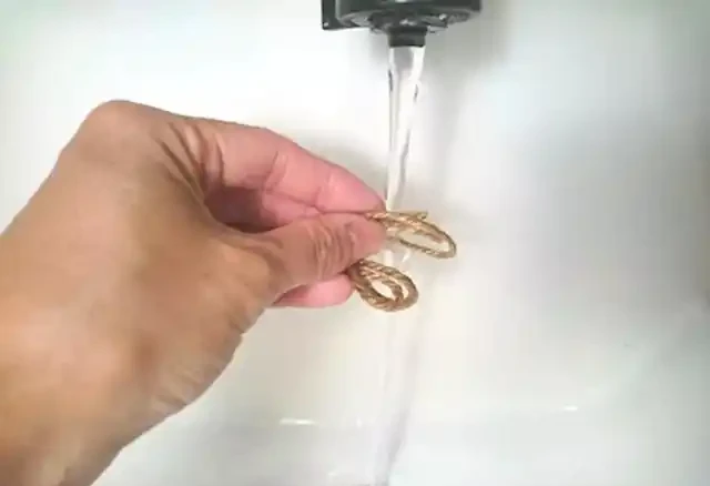 離家幾天盆栽沒人澆水怎麼辦?自制簡單的「自動澆水器」!