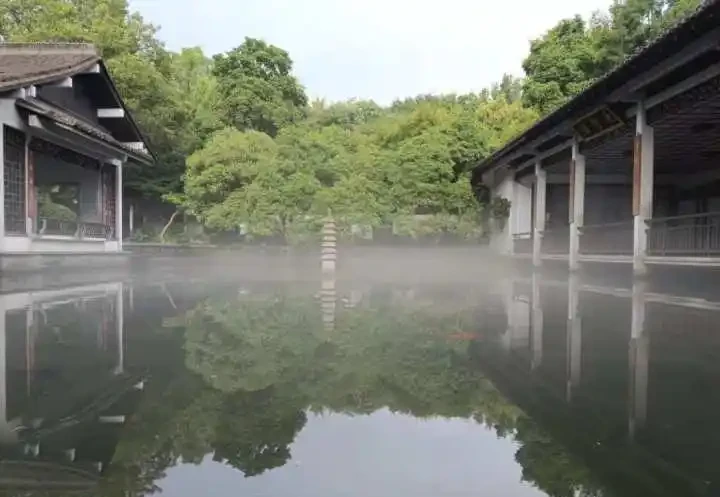 什麼花可以養在水裡?園藝師教你,8種「水生花」,怎麼都泡不爛