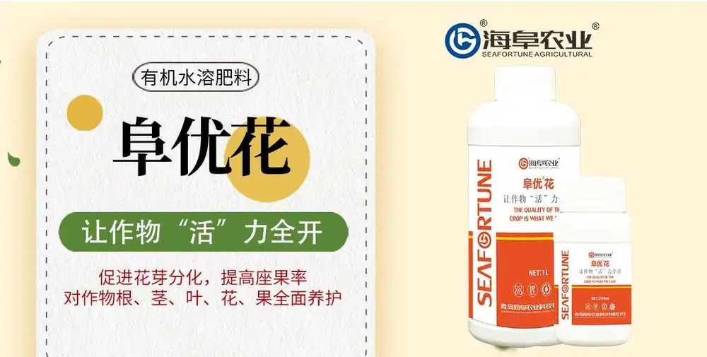 玫瑰花種植上什麼肥料最好，有機水溶性肥料有什麼好處