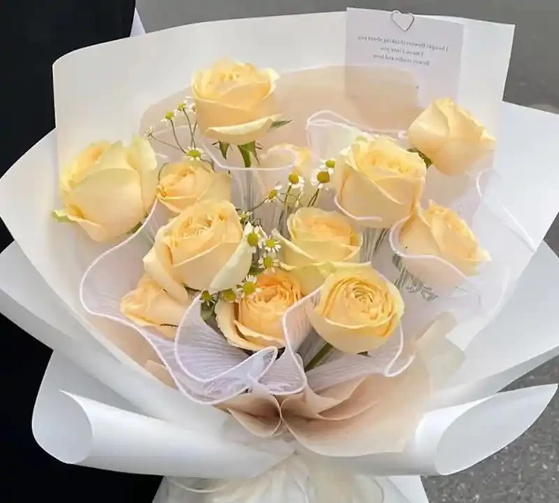 香檳玫瑰花束,夢境天使