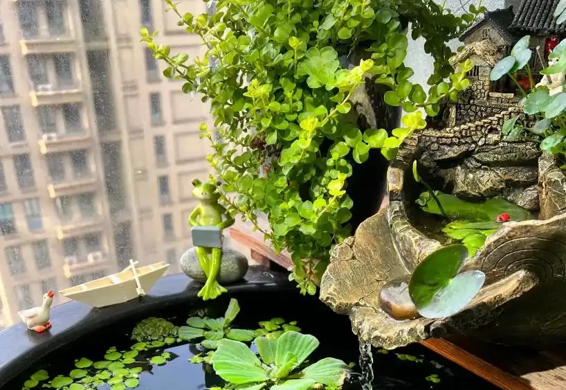 新房子養這8種花,高階大氣又好養,滿屋的甲醛都會被吸光