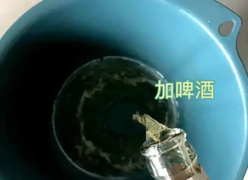 啤酒水能澆花,不能澆多肉,容易腐根,澆花也要兌水澆!