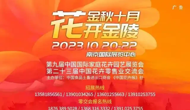 連續陰雨之下,雲南玫瑰病害高發,這個七夕花價撲朔迷離
