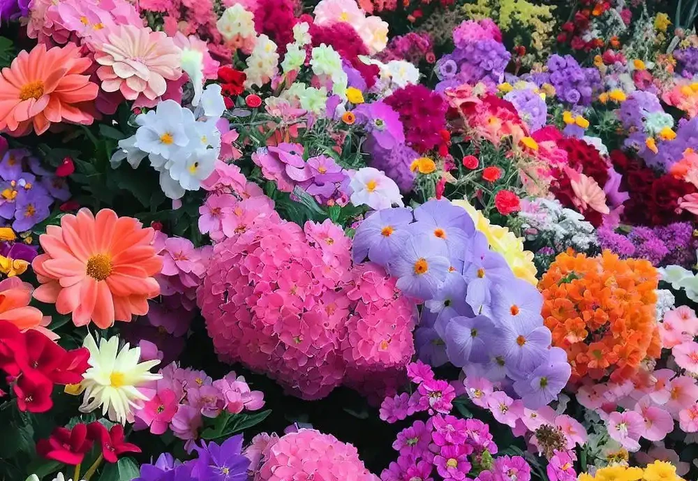 一年四季都開的花：不一樣的美麗