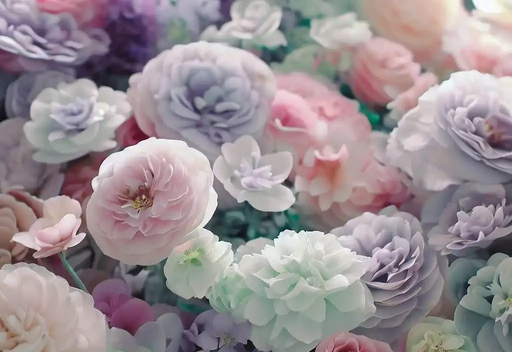 一年四季都開的花：不一樣的美麗