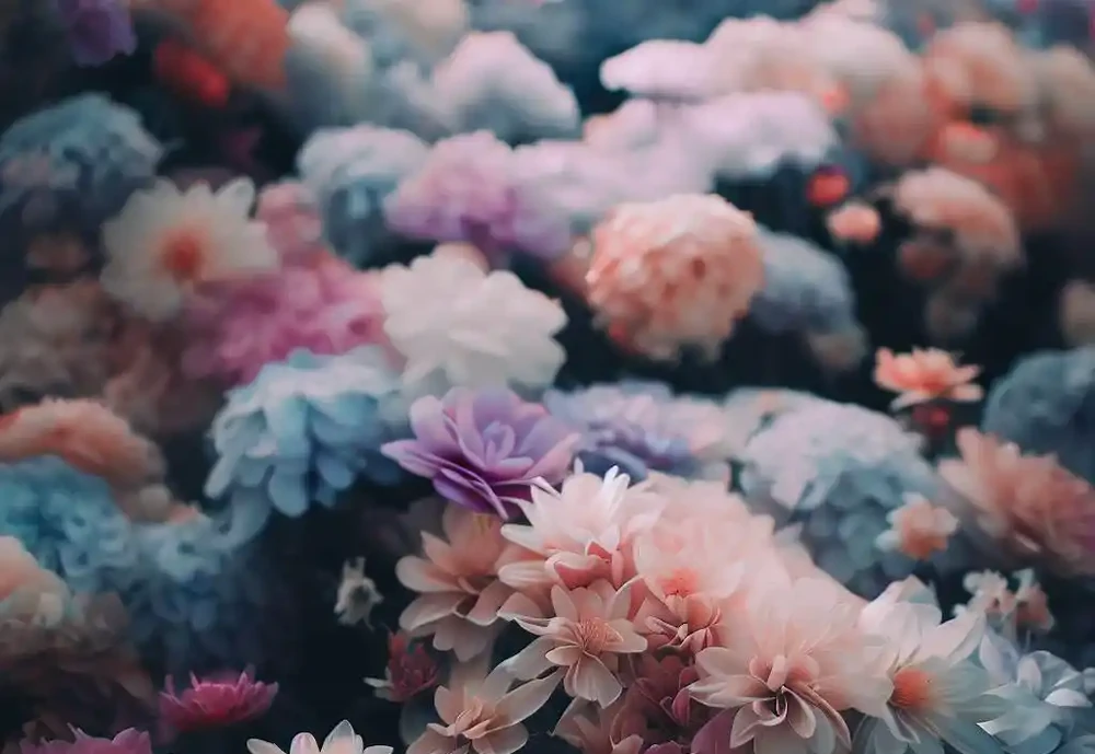 一年四季都開的花：不一樣的美麗