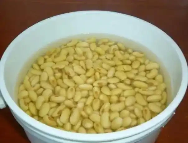 4種不花錢的小玩意,扔花盆裡面當肥料,養啥都旺,省錢又實用!