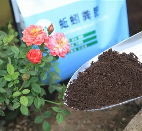 4種不花錢的小玩意,扔花盆裡面當肥料,養啥都旺,省錢又實用!