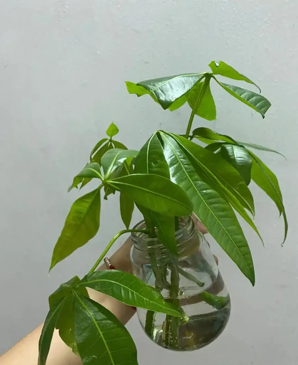 準備容器