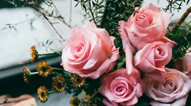 室內養花有講究,這6種花室內放,花旺「人不旺」,別大意
