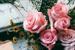 室內養花有講究，這6種花室內放，花旺「人不旺」，別大意