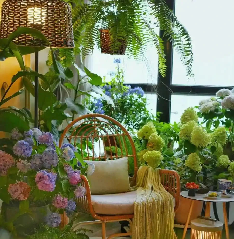 8種花「會催眠」,臥室一放,好養,好氧,睡眠旺!