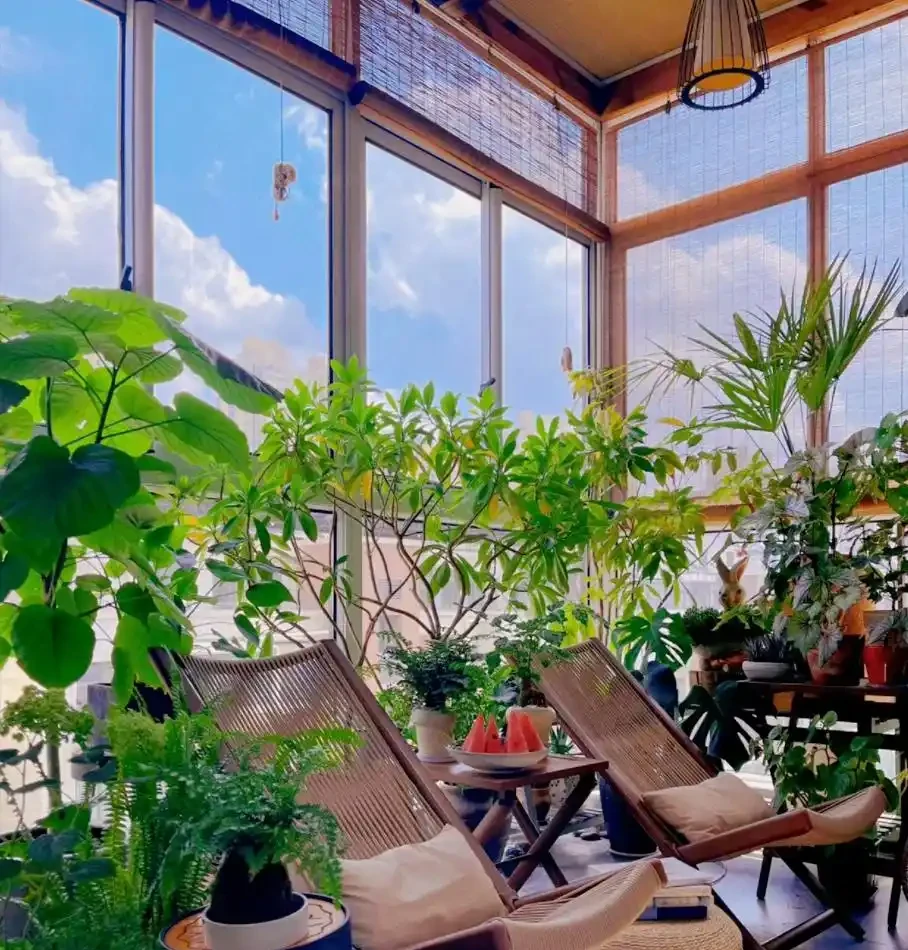8種花「會催眠」,臥室一放,好養,好氧,睡眠旺!