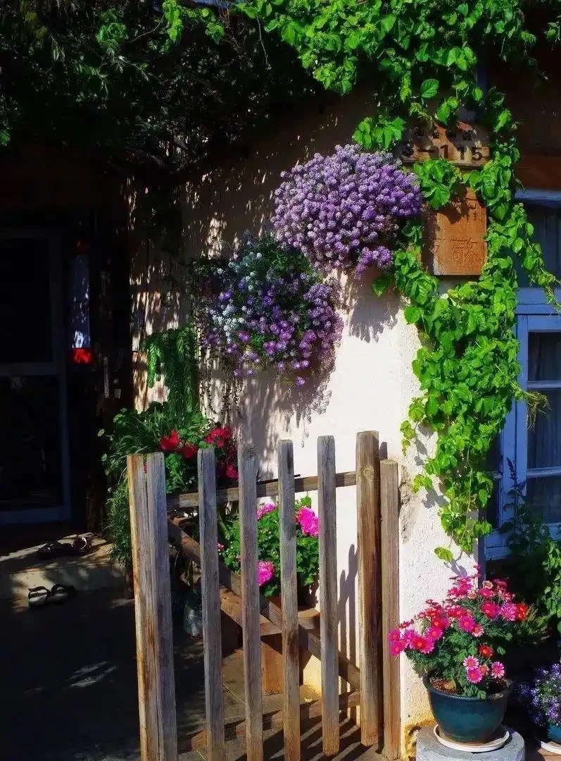 庭院裡養花,就養「8種」,耐寒耐熱,四季繁花似錦,美成一幅畫