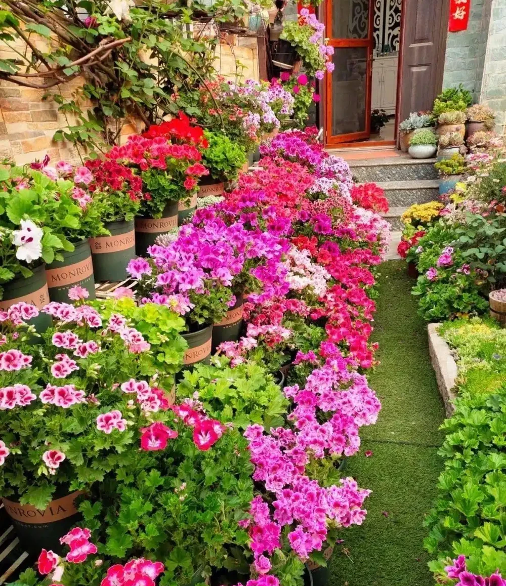 庭院裡養花,就養「8種」,耐寒耐熱,四季繁花似錦,美成一幅畫