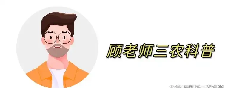 玫瑰花栽培管理的四大誤區,你有沒有中招?