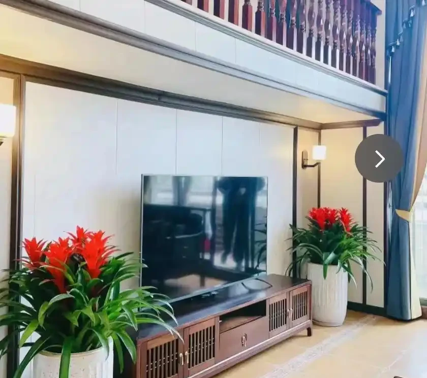 10個「旺財花」,適合客廳養,招財運,旺健康,家家都該養!