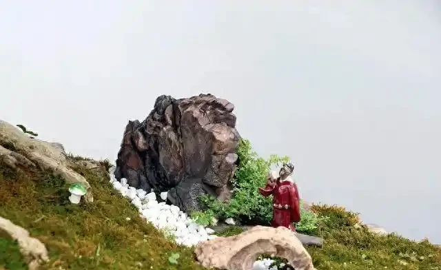 盆景盆面的處理