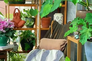 9種花「曬不死」，太陽越大花越爆，奼紫嫣紅賊漂亮！