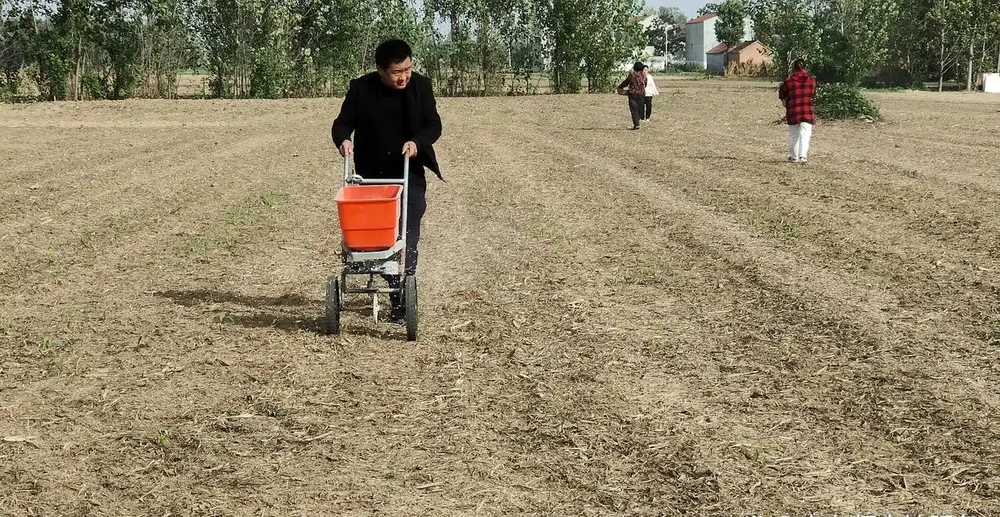 複合肥料怎樣使用,持效期長效果好,記住這四點很關鍵