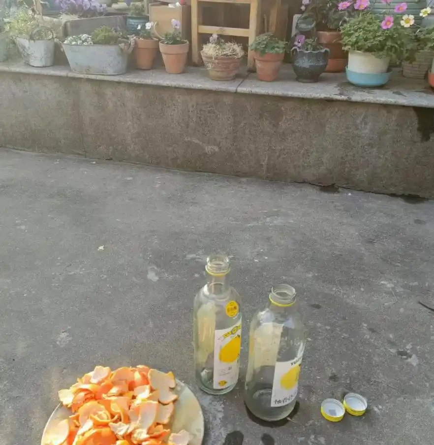 5個廚房「小廢物」，養花卻是寶貝，花盆一撒，肥得流油不生蟲！