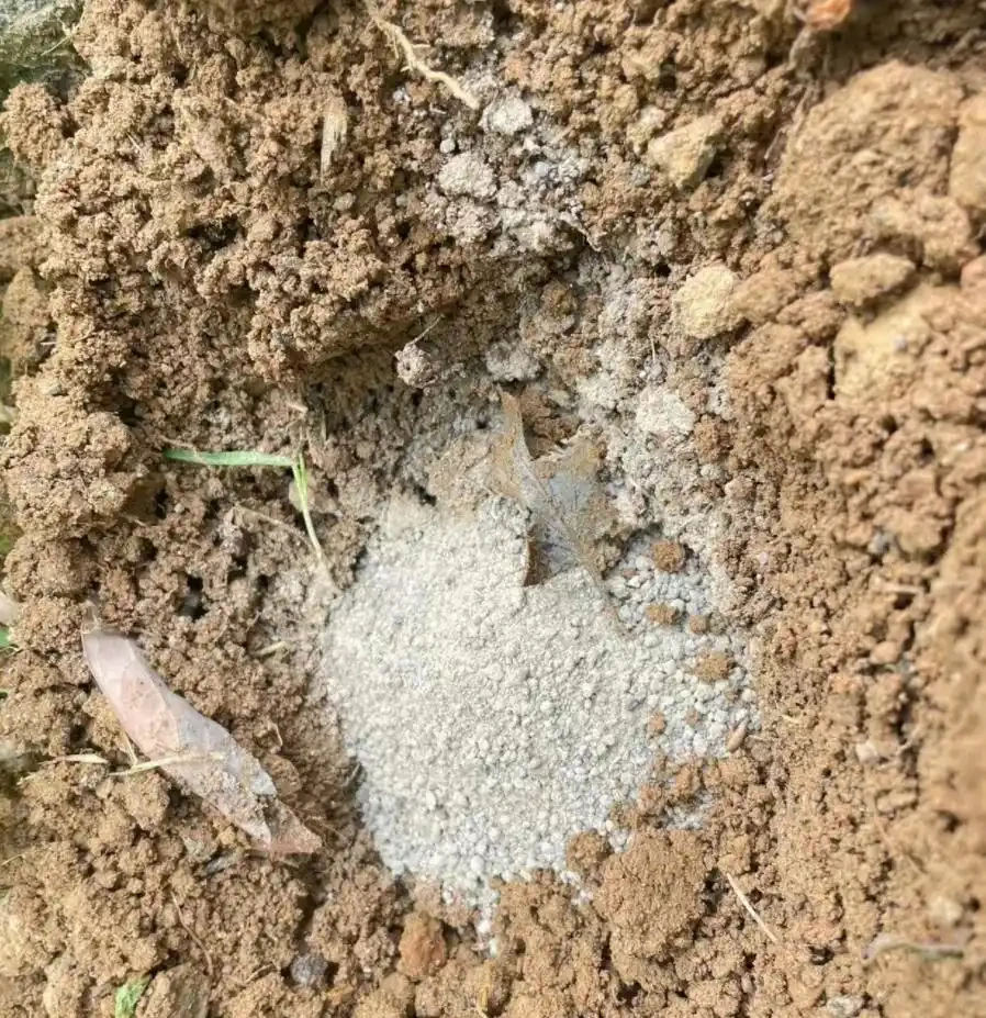 5個廚房「小廢物」，養花卻是寶貝，花盆一撒，肥得流油不生蟲！