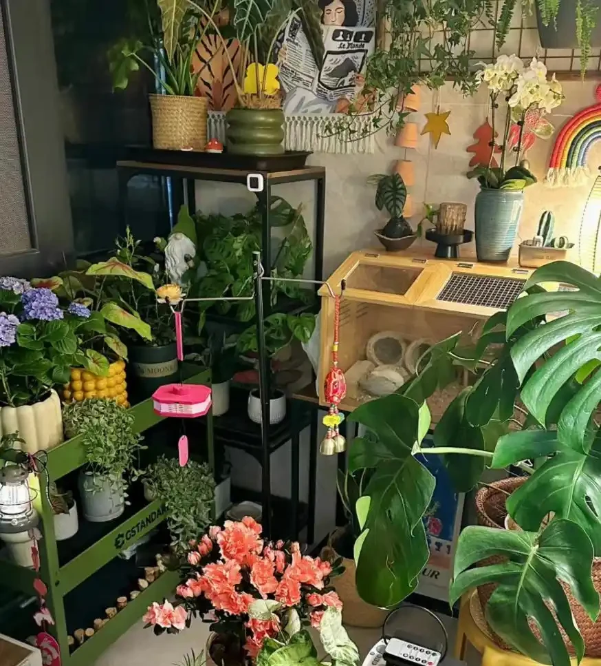 5個廚房「小廢物」，養花卻是寶貝，花盆一撒，肥得流油不生蟲！