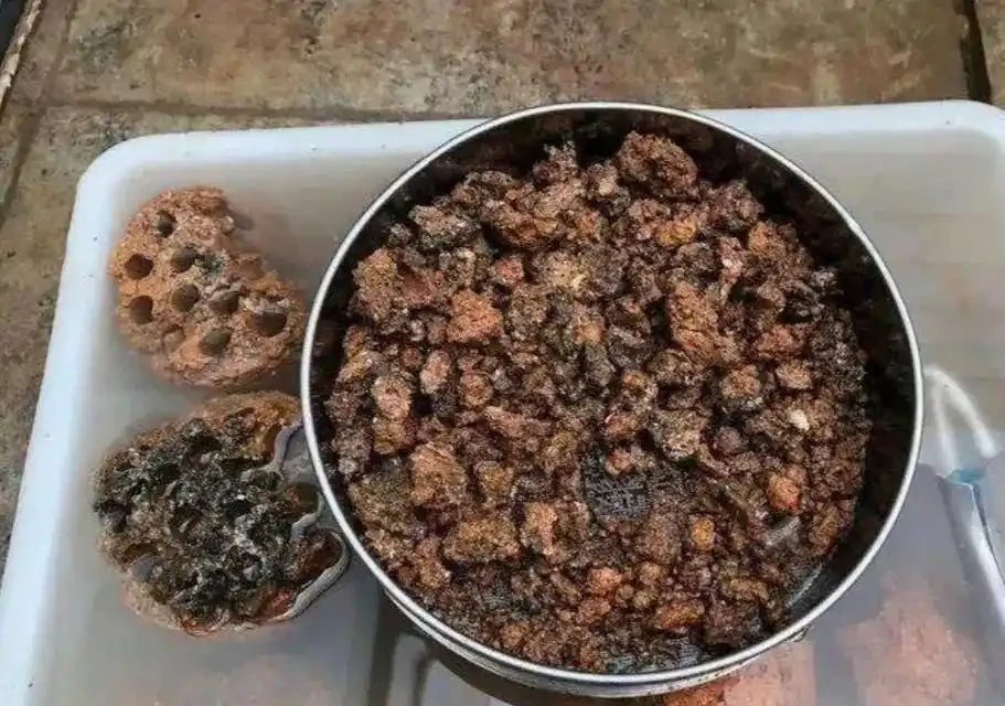 出門看到5種東西，撿回家墊在花盆底，養花不黃葉不腐根
