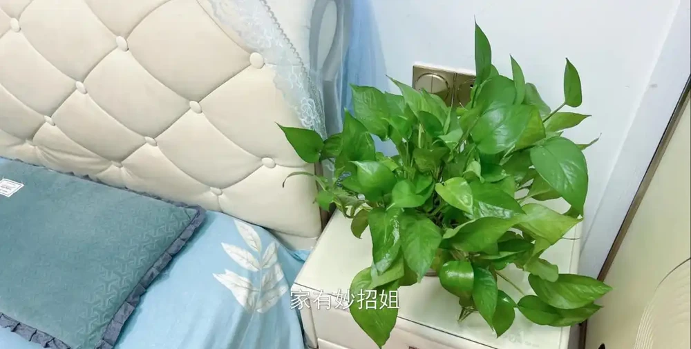 建議:睡覺的房間,最好別放這「4物」,不是迷信,是經驗所得