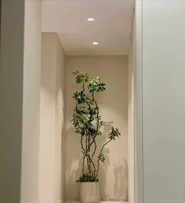 河北一29歲太太,因「鴨腳木客廳」走紅,那叫一個高階,真治癒!