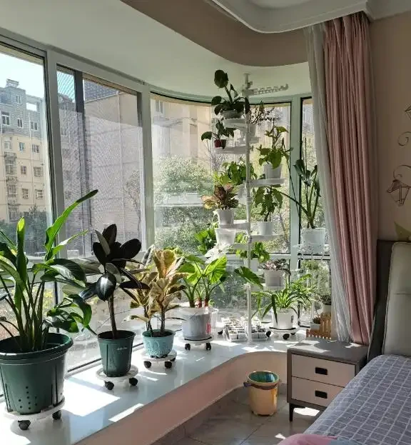 人養花，花養人！9種漂亮花，養在臥室也很好