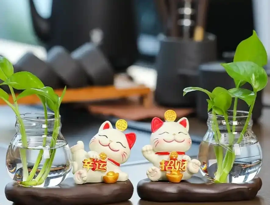 我養的黃金葛那麼綠,為什麼你的老黃葉?