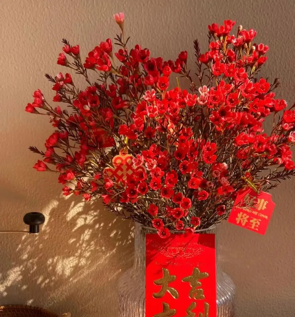 這10種花，開花紅豔豔，喜慶又旺家，冬天買花就買它