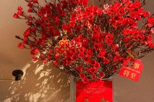 這10種花，開花紅豔豔，喜慶又旺家，冬天買花就買它