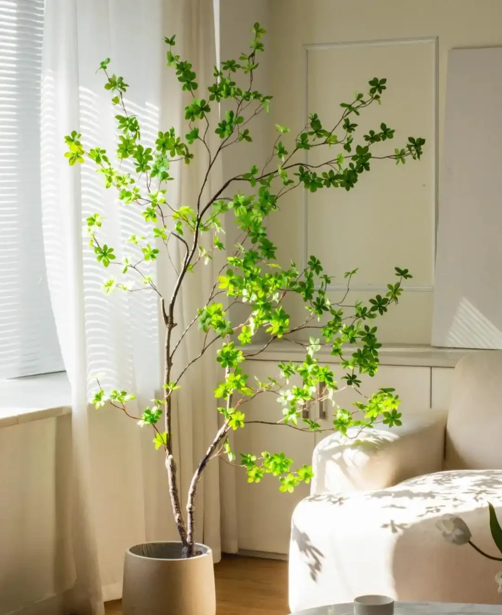 人養花，花旺人！客廳養盆大綠植，真的「有好處」